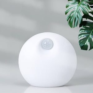 Litter Basin Companion Air Purifier - Stereotech
