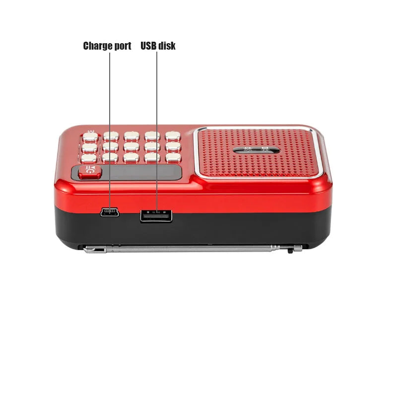 Portable Bluetooth FM Radio Receiver Speaker USB TF Card Player 3.5Mm Earphone Out Support 18650 Rechargeable Battery