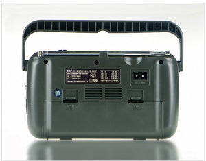 AC And DC Dual Purpose Portable Radio - Stereotech