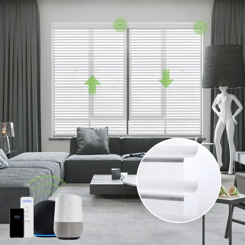 49444663755054|49444663787822