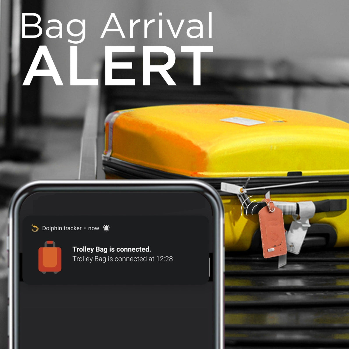 Dolphin Smart Bag Tracker - Stereotech