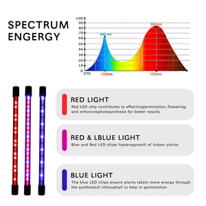 LED Grow Light USB Phyto Lamp Full Spectrum Fitolamp With Control Phytolamp For Plants Seedlings Flower Home Tent