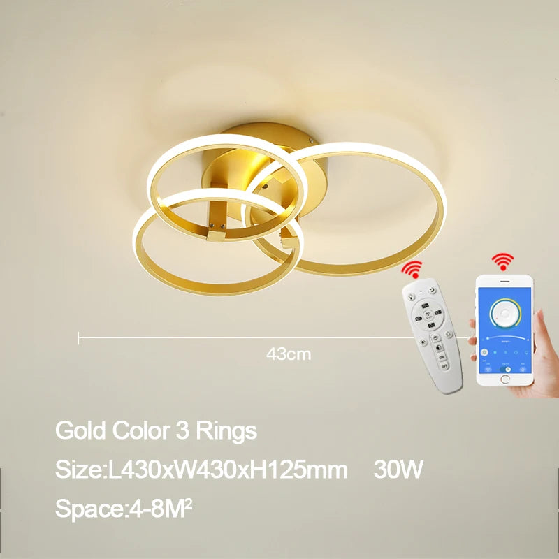 49444614144302|49444614406446