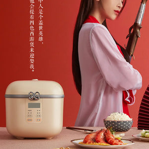 MB-FB16E306 Electric Rice Cooker Da Hua West Journey Series Mini 1.6L pressure cooker  electric cooker