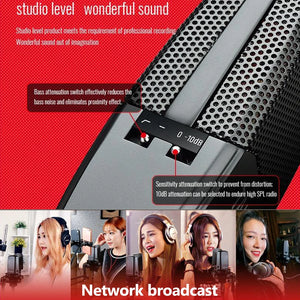 TAKSTAR Recording mini Microphone Condenser Mic with Metal Windscreen Shock Mountfor Studio Video Recording Live Broadcast MIC