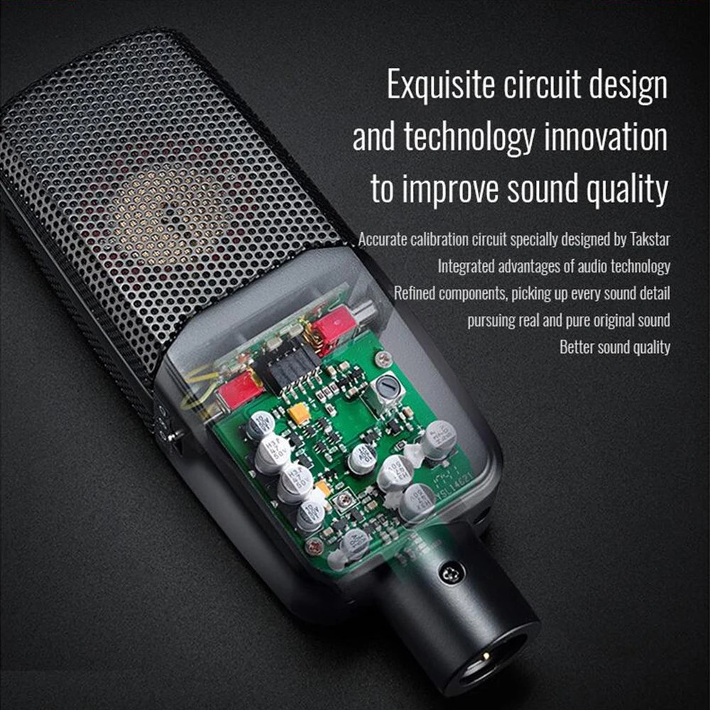 TAKSTAR Recording mini Microphone Condenser Mic with Metal Windscreen Shock Mountfor Studio Video Recording Live Broadcast MIC