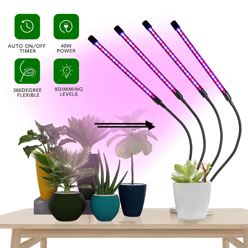 LED Grow Light USB Phyto Lamp Full Spectrum Fitolamp With Control Phytolamp For Plants Seedlings Flower Home Tent