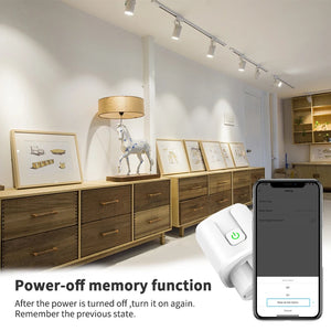 20A Tuya WiFi EU Smart Plug with Power Monitor - Stereotech