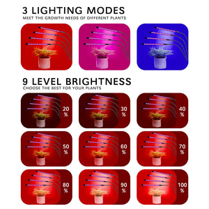 LED Grow Light USB Phyto Lamp Full Spectrum Fitolamp With Control Phytolamp For Plants Seedlings Flower Home Tent