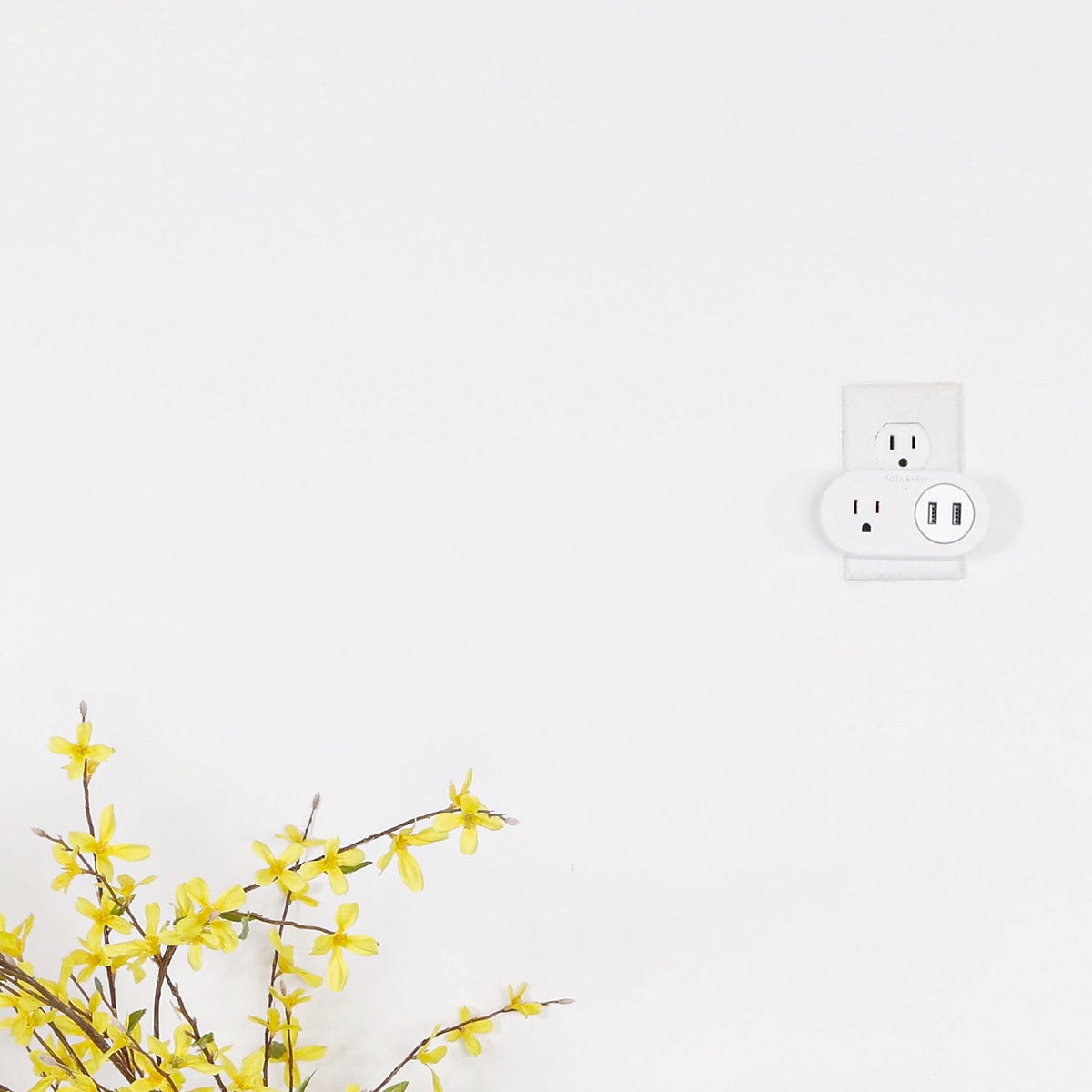 INSTACHEW Pure Connect Smart Plug With USB - Stereotech