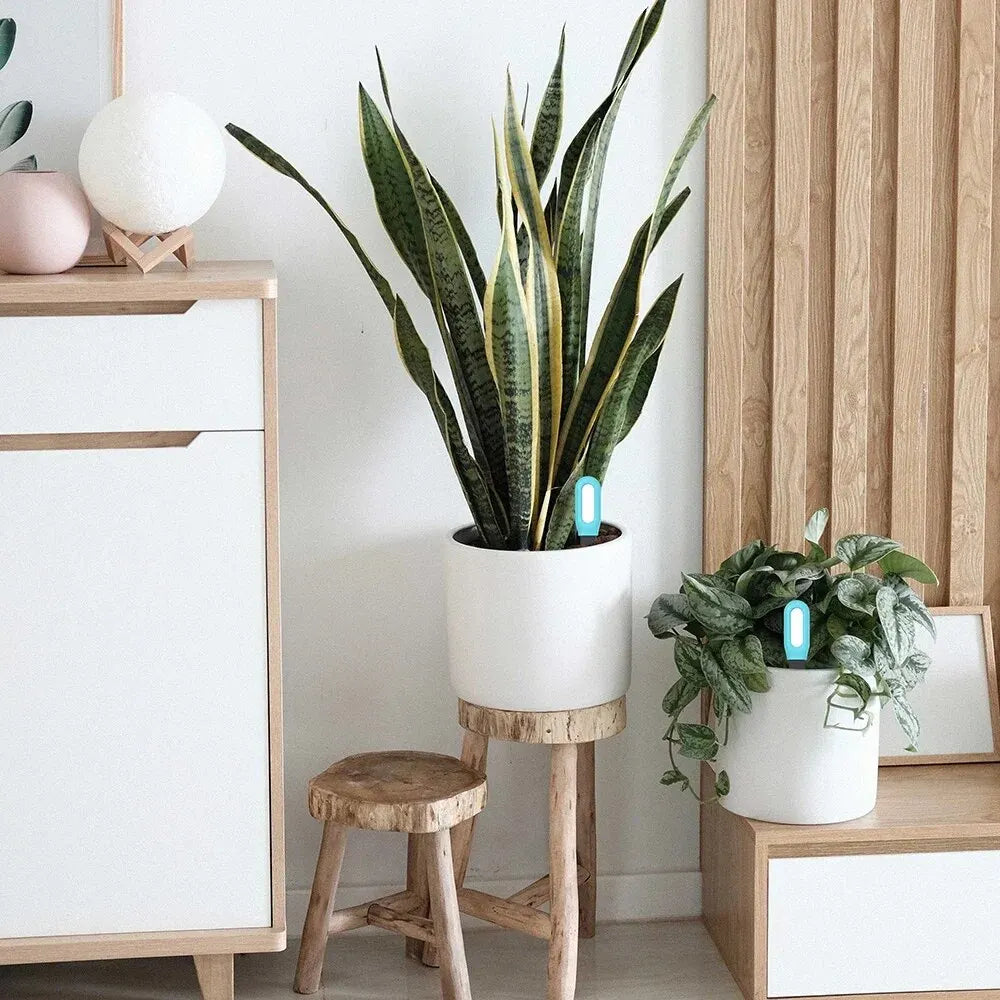 Tuya Smart Bluetooth Soil Tester Temperature and Humidity Meter Thermo Hygrometer Garden Automation Irrigation Detector - Stereotech