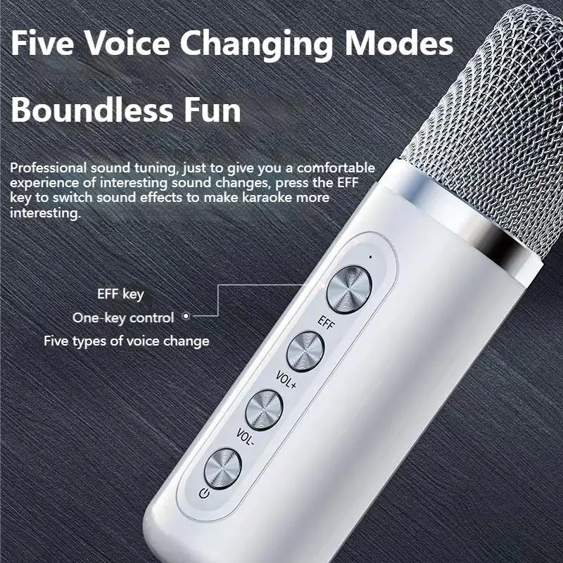 2024 Dual Microphone Karaoke Machine for Adults Kids Portable Bluetooth PA Speaker System with 2 Wireless Microphones for Family