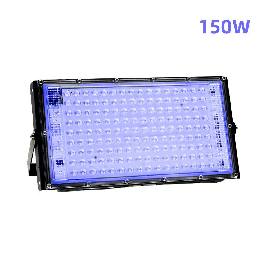 49452288409902|49452288442670|49452288540974