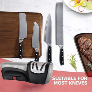 Professional Electric Knife Sharpener 20-Degree, 2-Stage Knife Sharpening and Polishing for Kitchen,kitchen Accessories - Stereotech