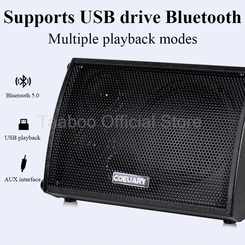 8 Inch Acoustic Guitar Amplifier Speaker Sax Ukulele Piano Practice AMP Built-in Chorus Reverb Delay Effect 100W Outdoor Speaker