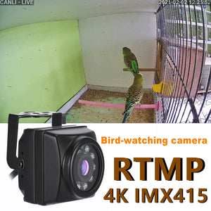 POE 30fps 4K rtmp encoder 4k Bird Box Camera Birdcage 8MP Night Vision Outdoor Mini IP Audio P2P Pet Nest Watching for YouTube