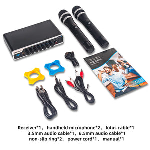 E02U Professional Portable Wireless Microphone System, 2 Handhelds with Bluetooth 5.0 and Reverb for House Parties, KTV Karaoke