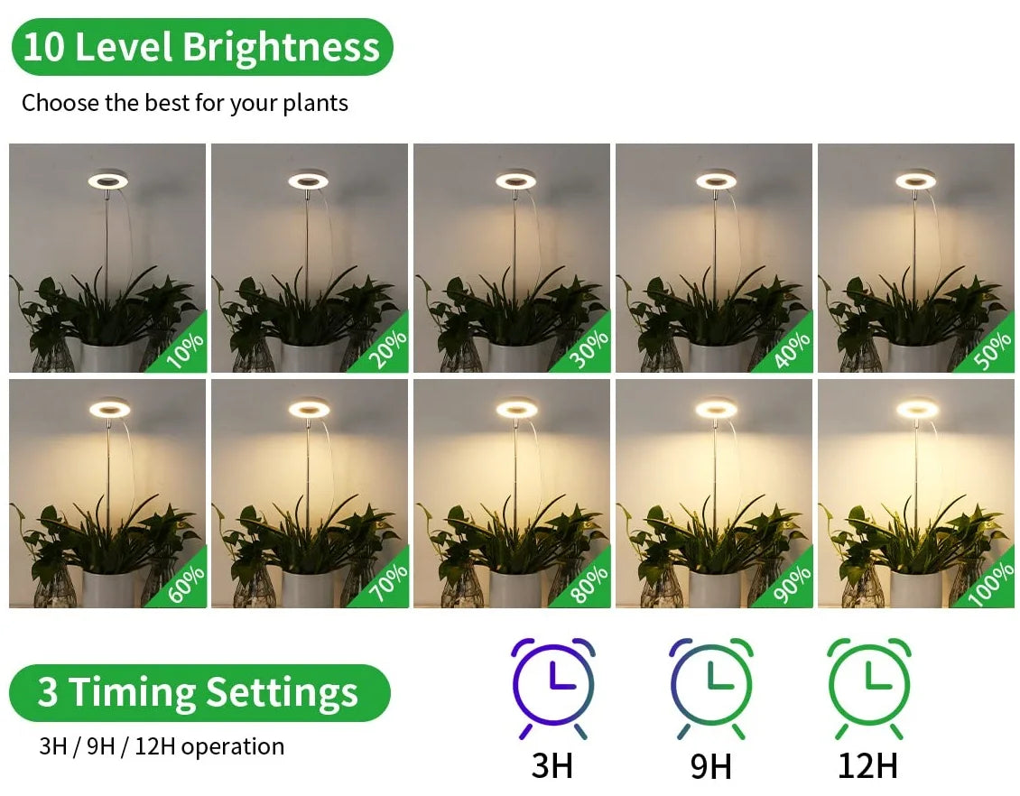 LED Ring Grow Light Full Spectrum Growing Lamp with Auto On/Off Timer Height Adjustable Dimmable Growth Lights for Indoor Plants