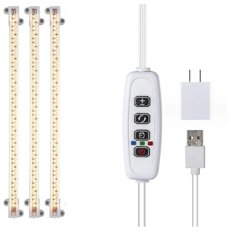 49357440778542|49357441007918