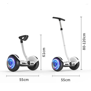 8/10 inch 36/54V Kids Adult Smart Handle Leg Bar Electric Scooter 2 Wheel Stand Up Self Balancing Hoverboard custom