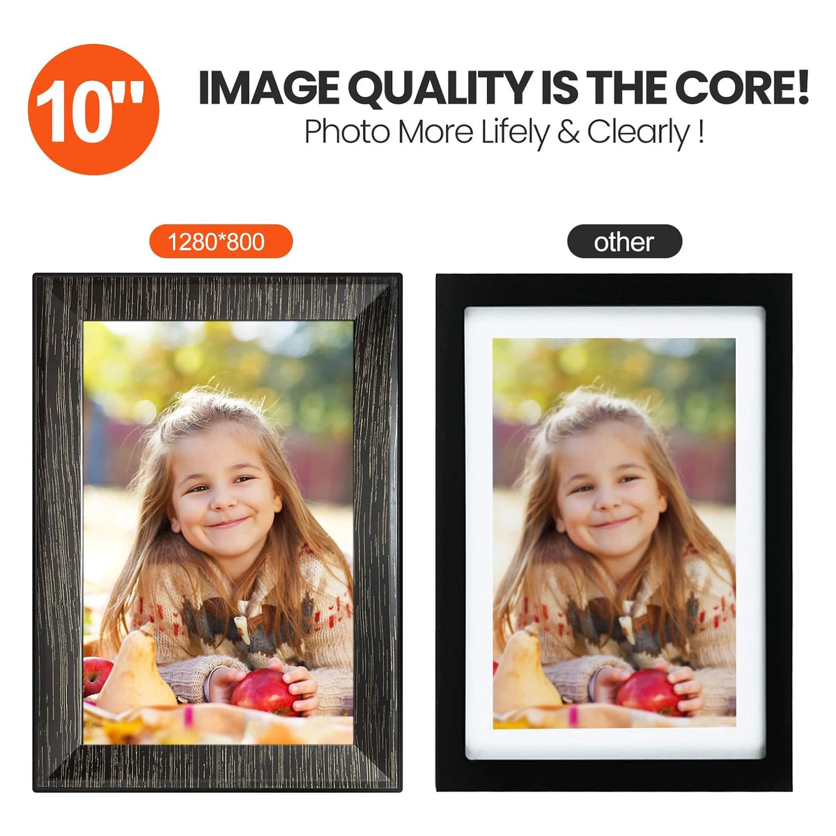10.1 inch Screen LCD Backlight HD IPS 1280*800 Digital Photo Frame Electronic Picture Imitative Wood Digital Frame Full Function
