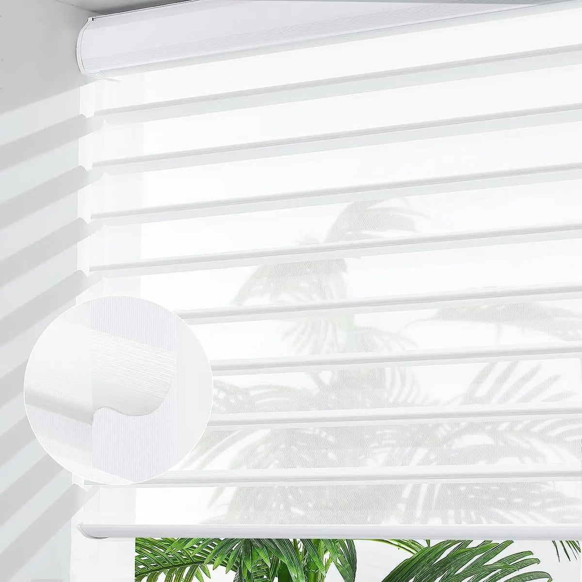 49444663558446|49444663623982