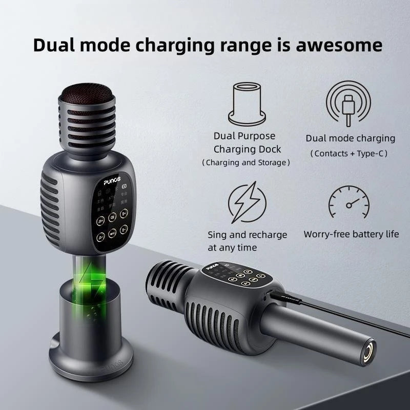 Punos Bo Longsha K Song microphone sound all-in-one live singing wireless outdoor home bluetooth new!