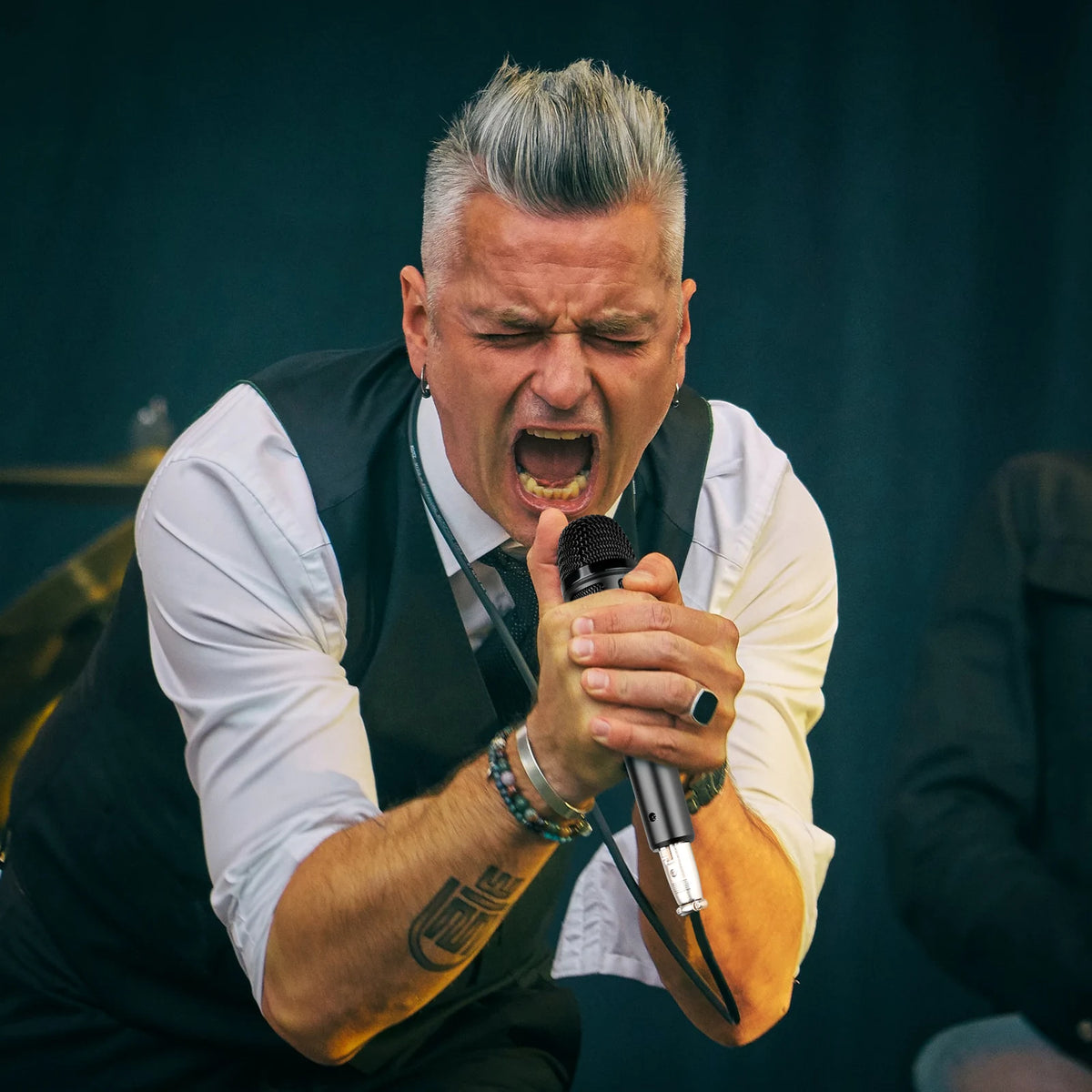 TAKSTAR TA-60 Supercardioid Dynamic Microphone Stage Singing Professional Wired Microphone Karaoke BBOX Recording Vocal Mic