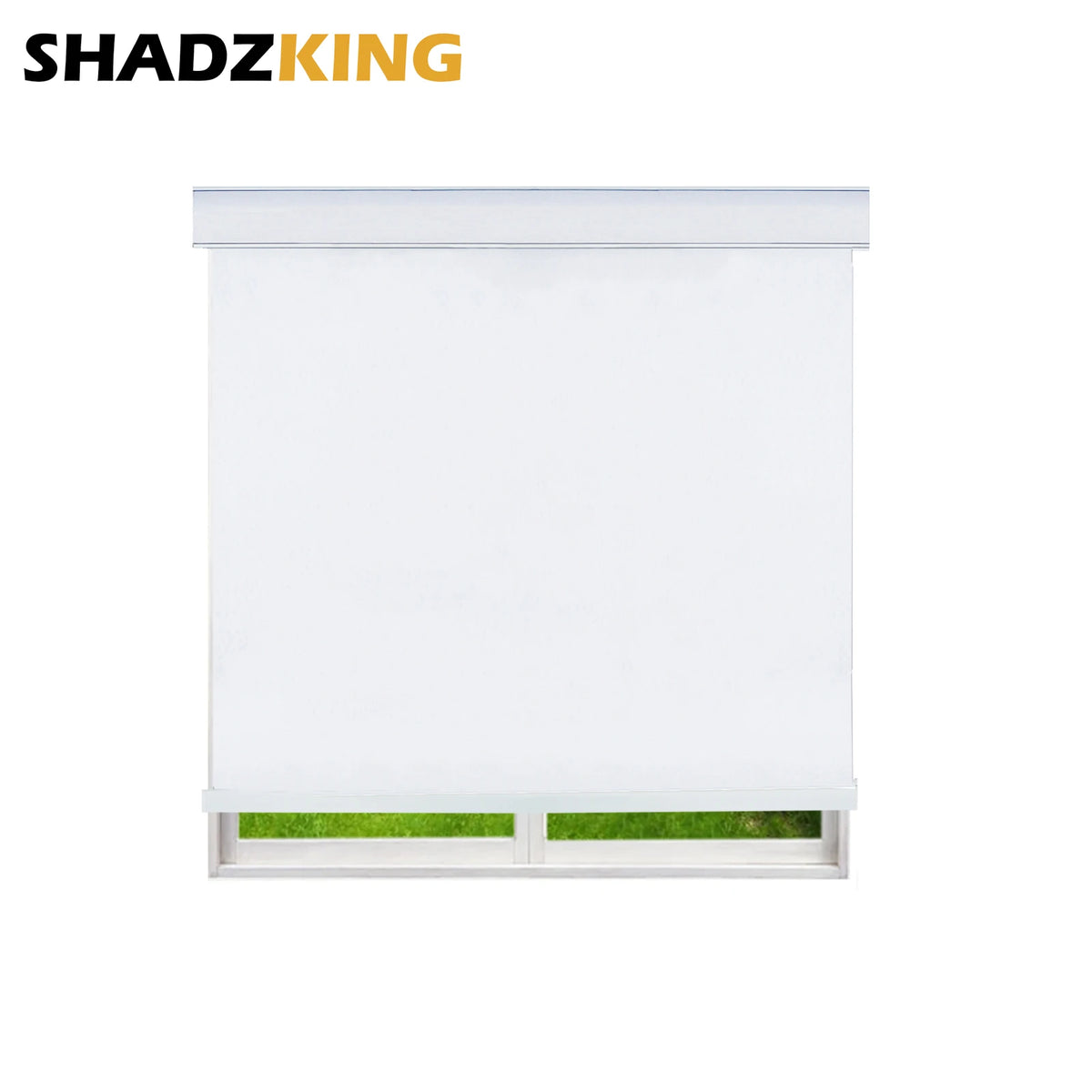 49444667359534|49444667392302