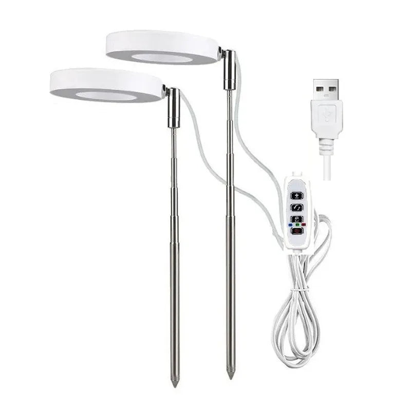 49357439926574|49357440090414