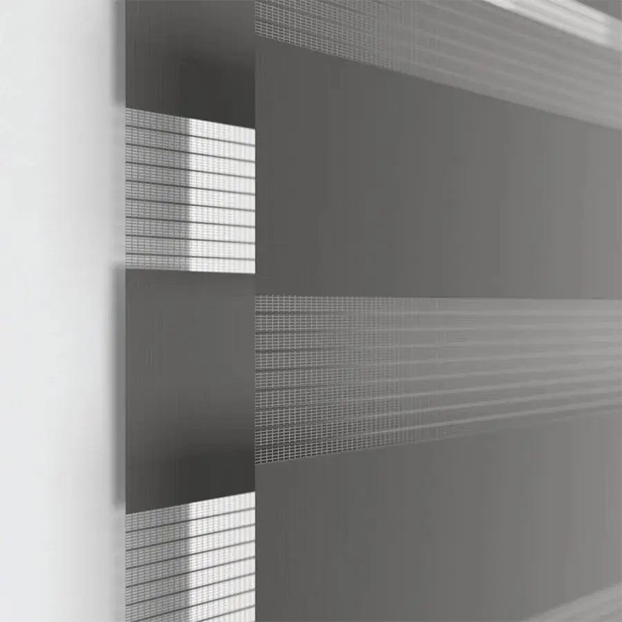 Smart Motorized Zebra Blinds Work with Alexa, Remote Control Smart Blinds, 90% Blackout Light Filtering Day Night Sheer Shades