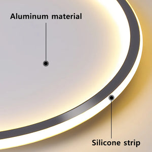 Modern LED Ceiling Light Living Room Bedroom Balcony Aisle Ceiling Lamps Ultra Thin Circular Shape Dimmable with remote control