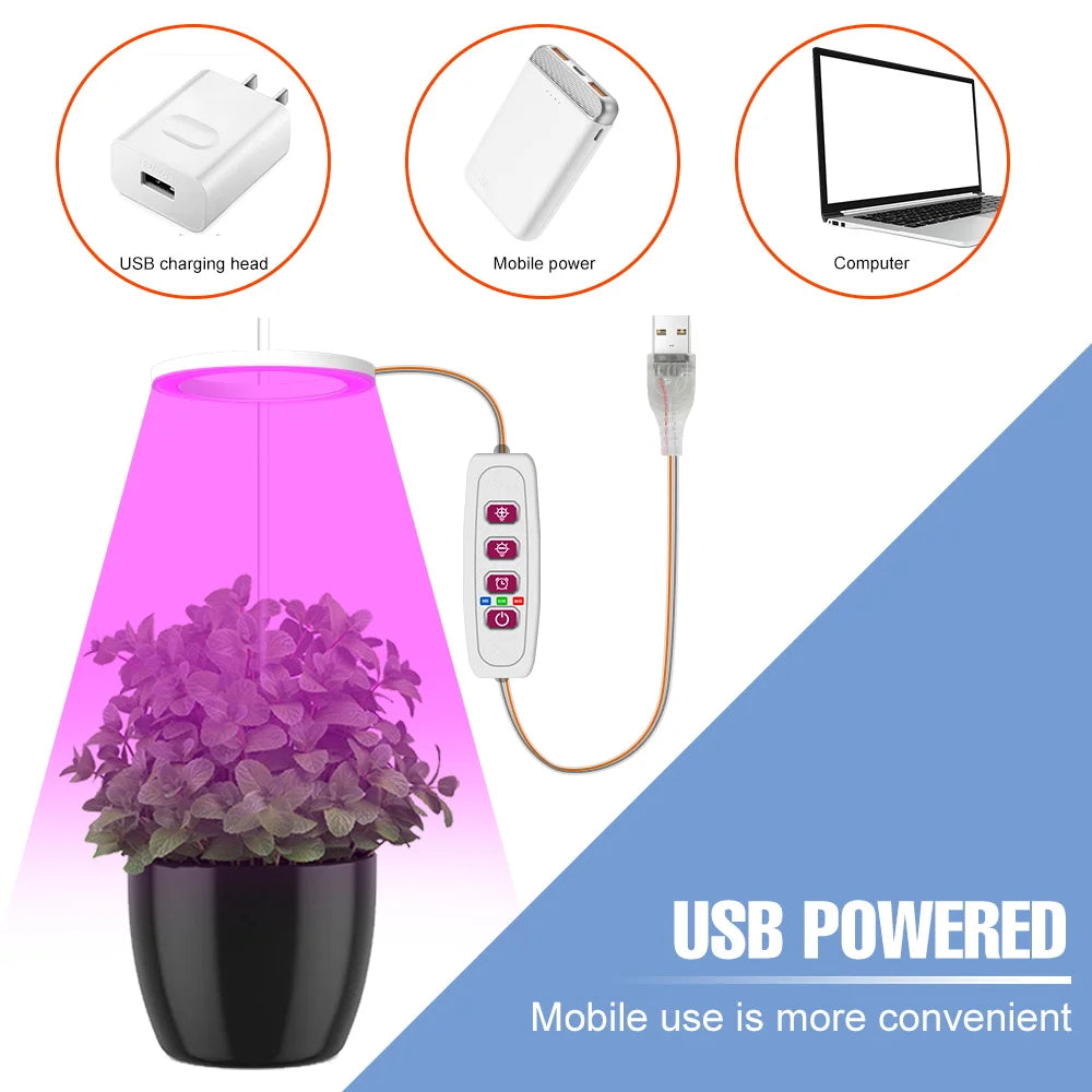 LED Phytolamp Indoor Grow Lights Full Spectrum Hydroponics Plant Lamp For Flower Seeds Cultivation DC5V USB LED Growth  Light