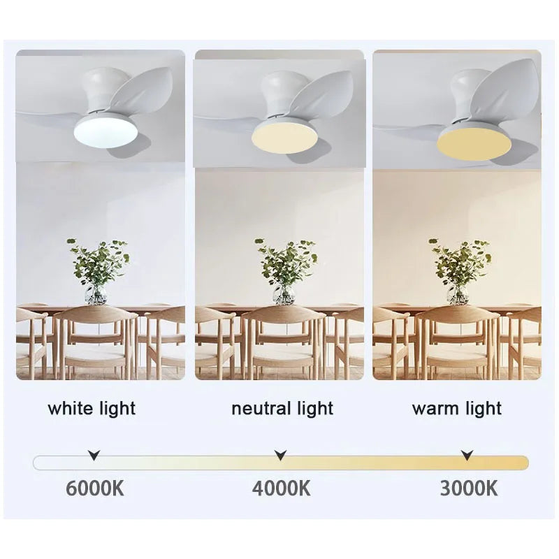 Modern Black White Low Floor DC Motor 30W Ceiling Fans With Remote Control Simple Ceiling Fan With light Home Fan 100-240V - Stereotech