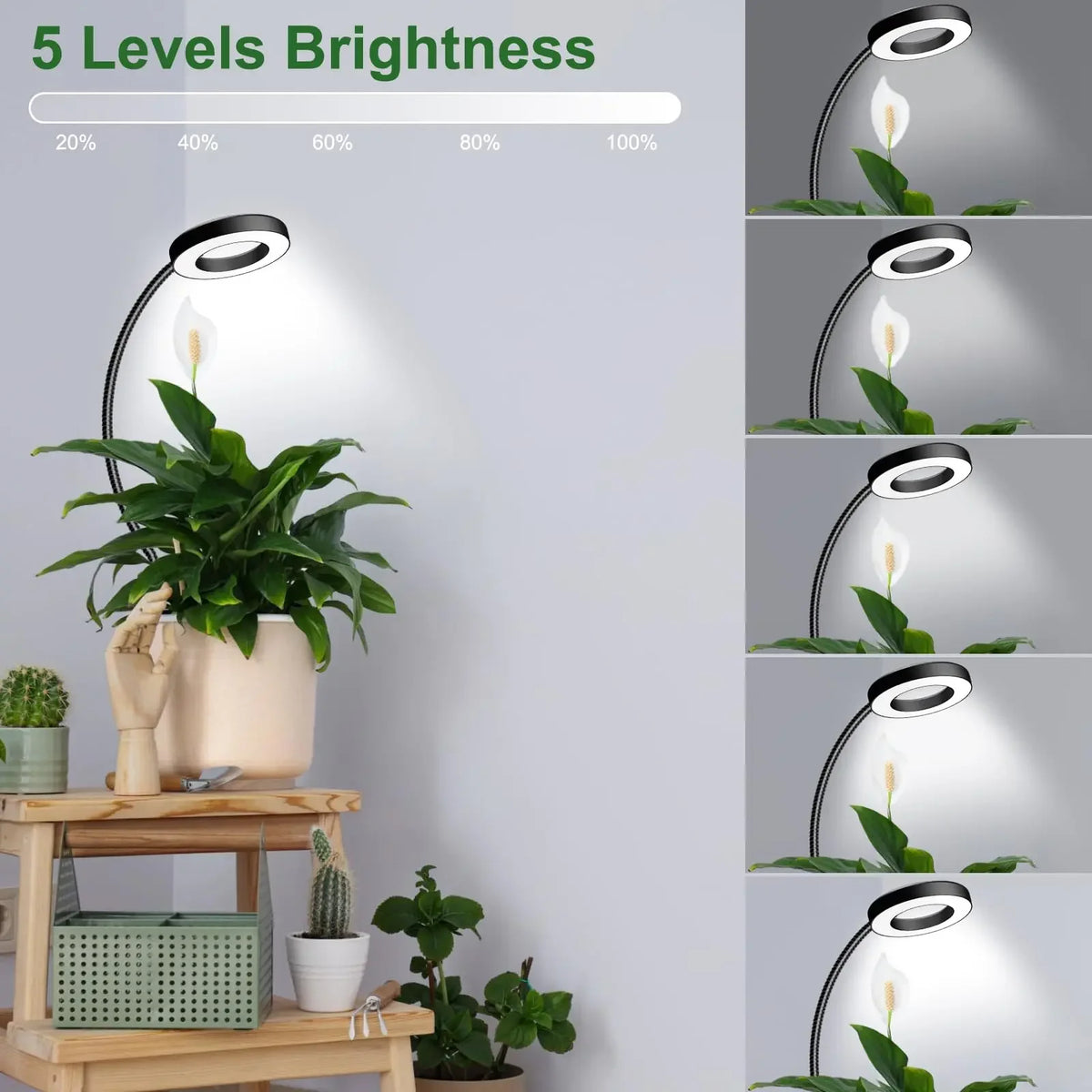 Clip On LED Grow Lights for Indoor Plants 6500K Full Spectrum, Two Installation Options 3 Colors with 3/6/12H Timer 5 Brightness