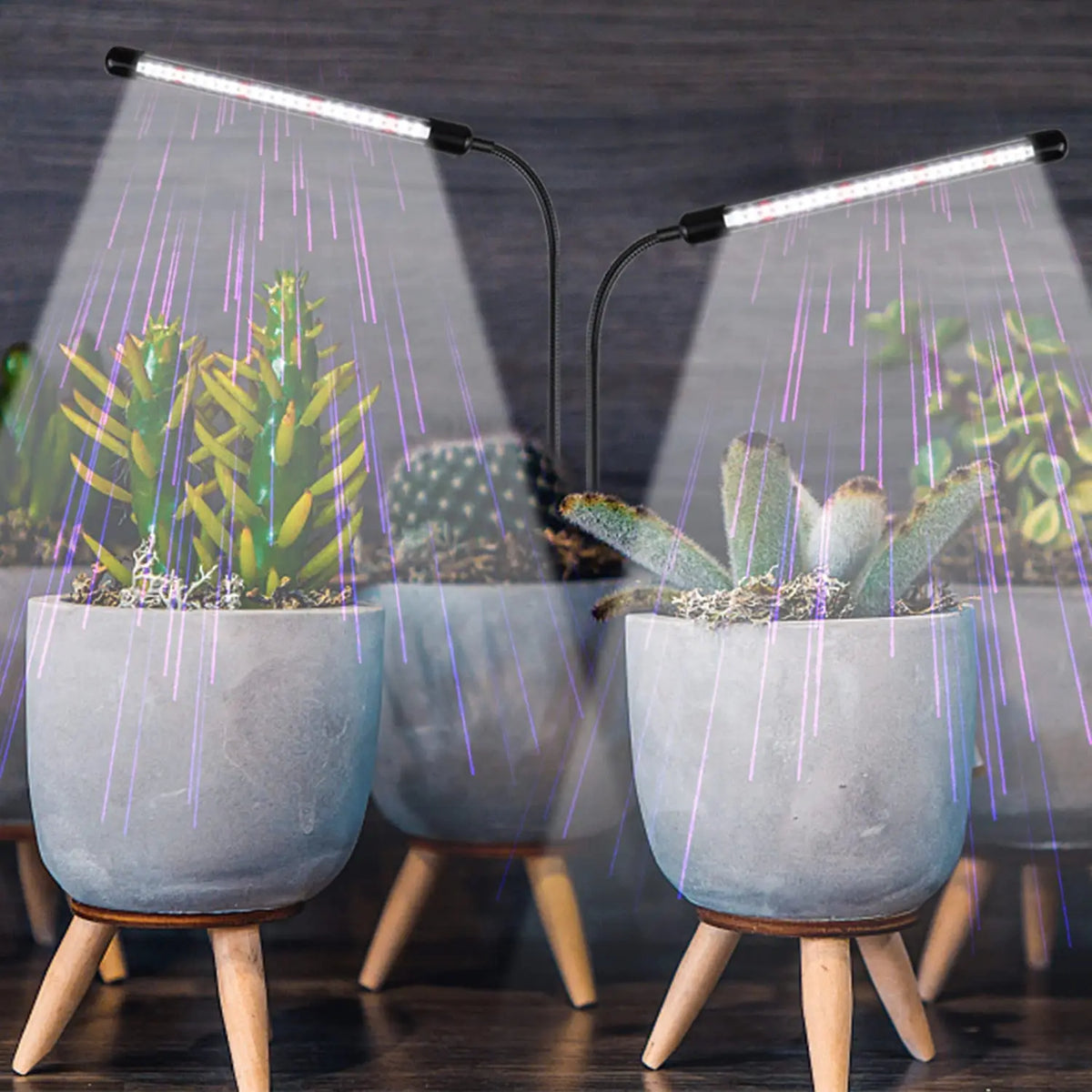 KEBINCPLED USB 5V Grow Lamp Full Spectrum Plant Lights With Control Fitolamp Lights Home Indoor Flower Seedling Clip Phyto Lamp