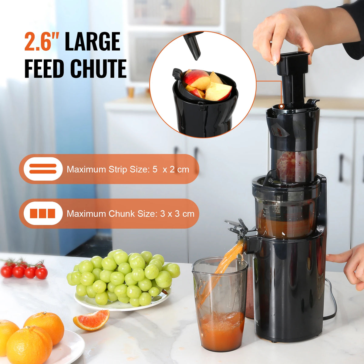 VEVOR Masticating Juicer Cold Press Juicer Machine 2.6&quot; Large Feed Chute Slow Juicer Juice Extractor Maker