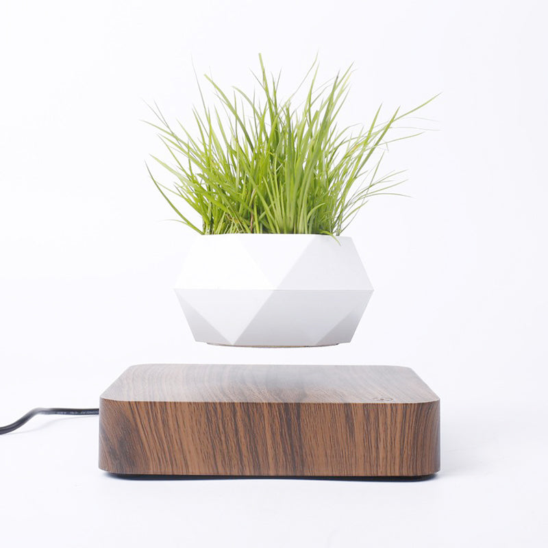 Air Bonsai Pot Flower Pot Planters - Stereotech