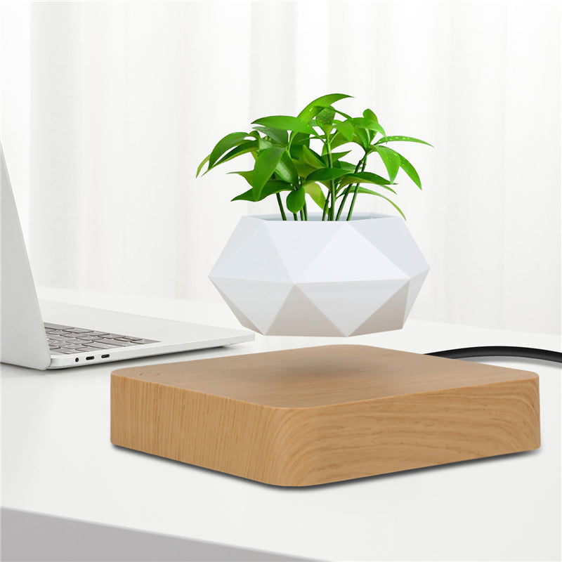 Air Bonsai Pot Flower Pot Planters - Stereotech