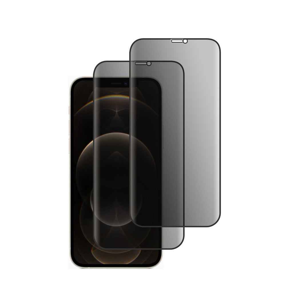 iPhone 12 Pro Max Screen Guard - Stereotech